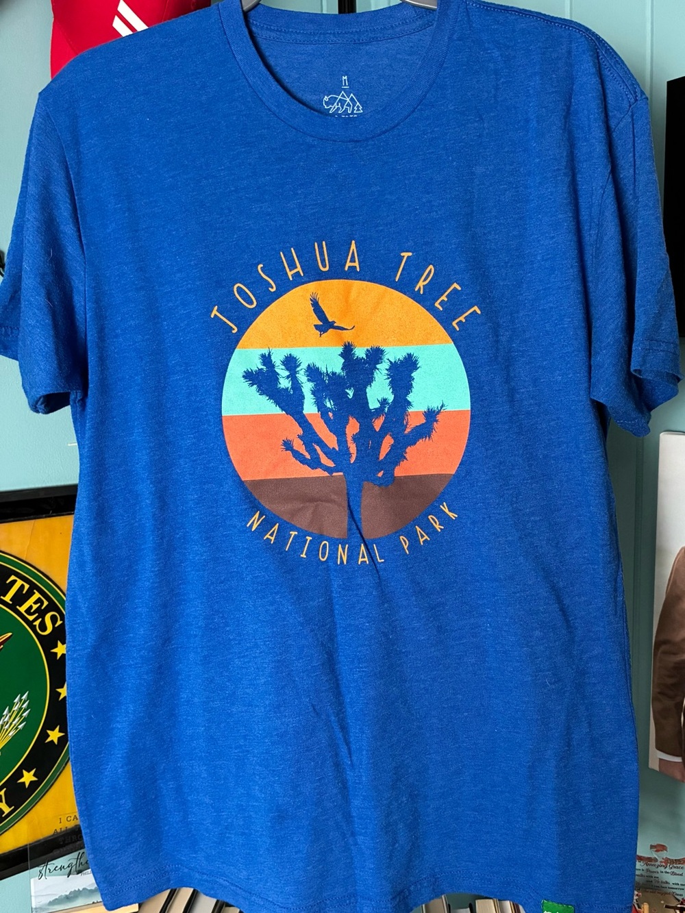 Men's Blue Joshua Tree National Park Graphic Tee